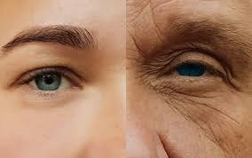 DEAL Frozen Collagen + 2 in 1 Whitening,60 Capsules, Made in Thailand